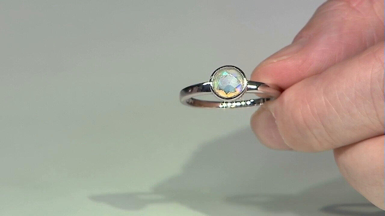 Letzte TV-Show ansehen