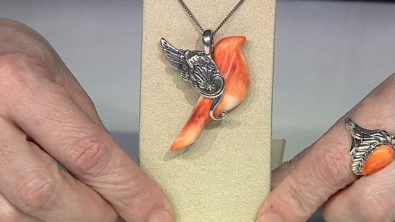 Laatste live aanbiedingen bekijken