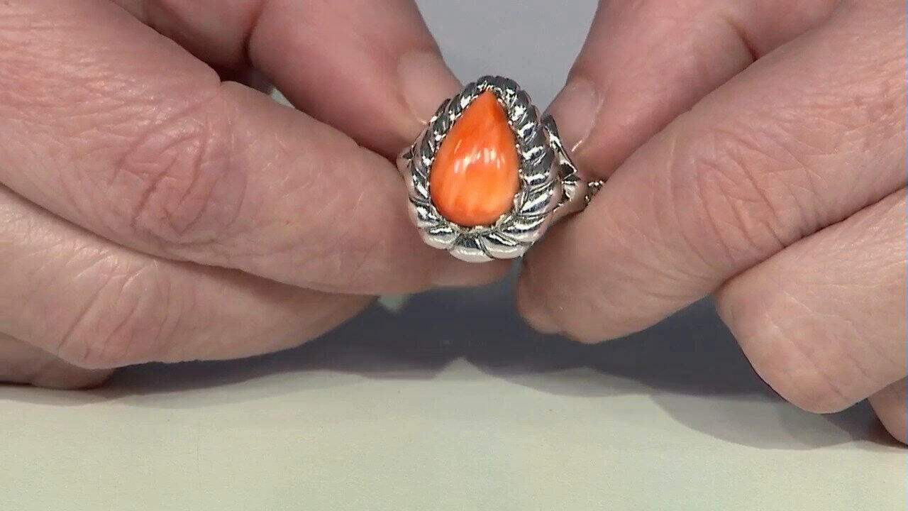 Letzte TV-Show ansehen