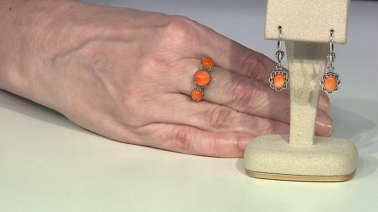 Letzte TV-Show ansehen