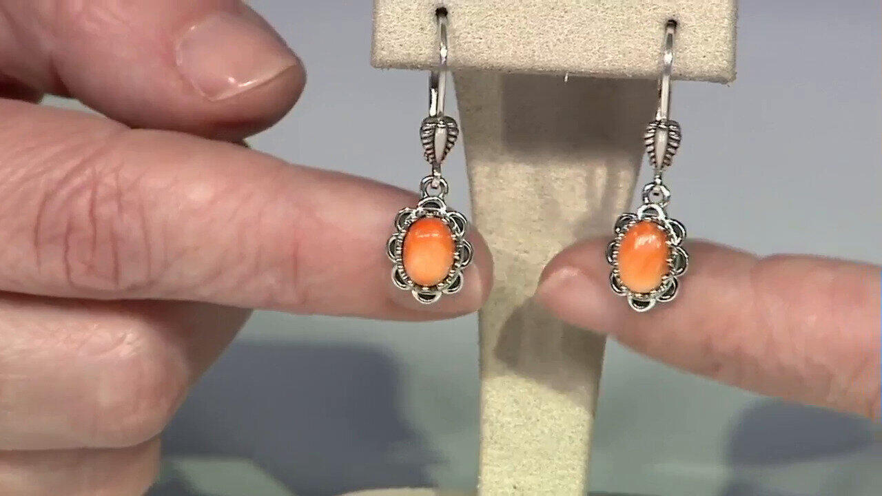 Ver última TV oferta