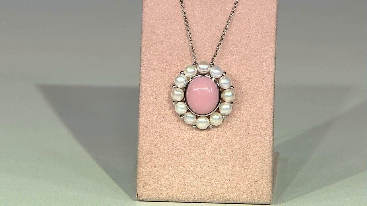 Laatste live aanbiedingen bekijken