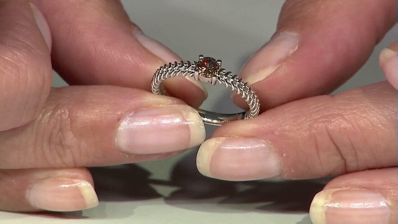 Letzte TV-Show ansehen