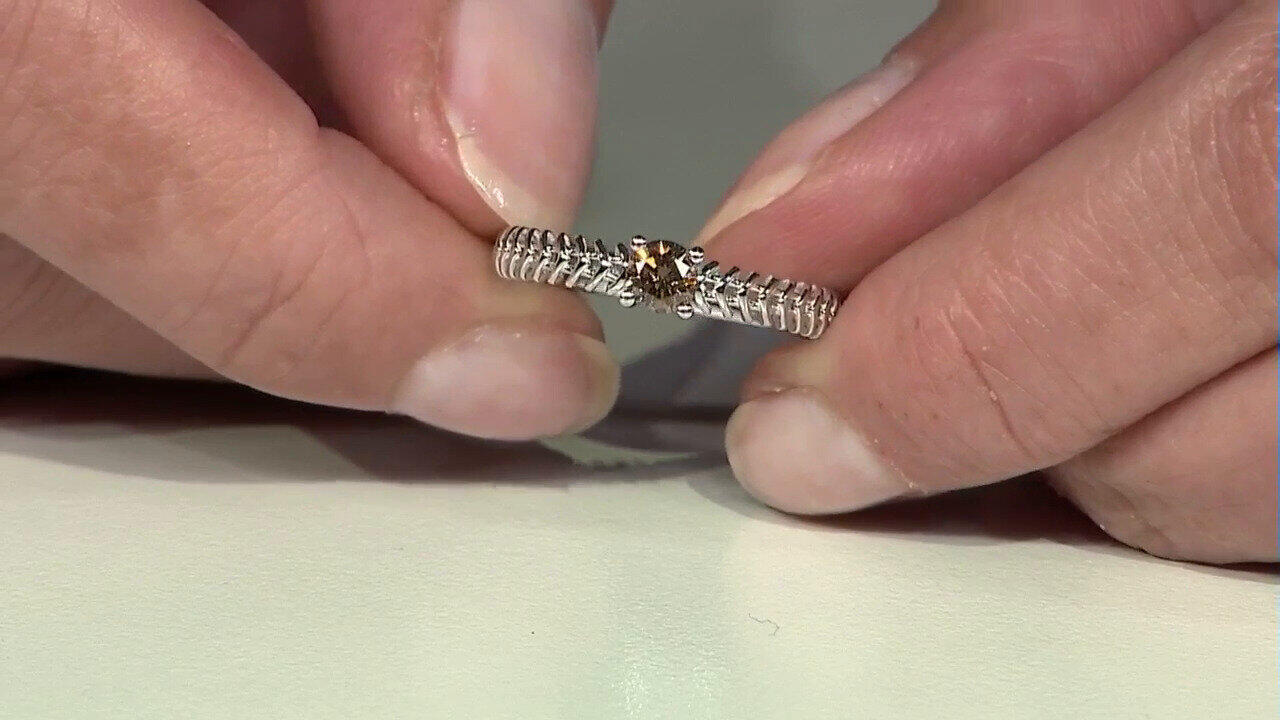 Letzte TV-Show ansehen