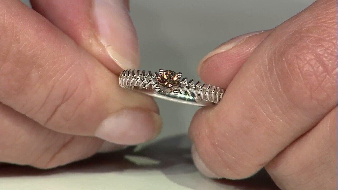 Letzte TV-Show ansehen