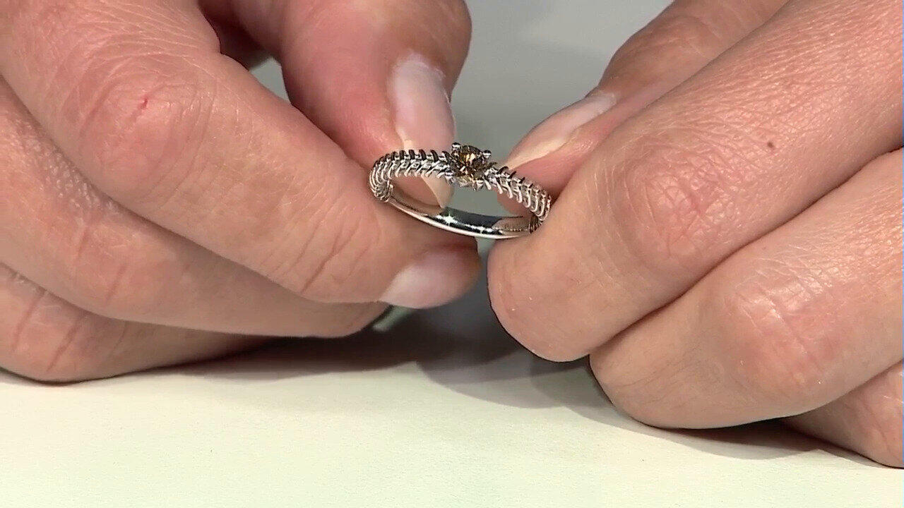 Letzte TV-Show ansehen