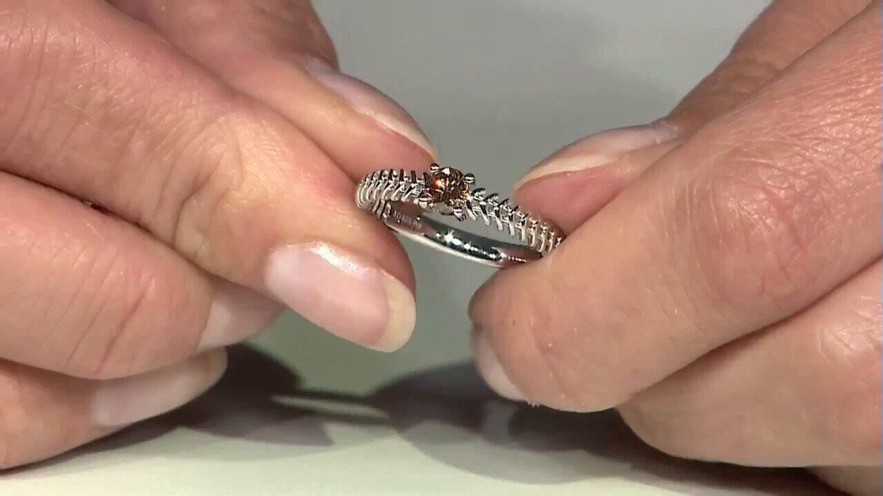 Letzte TV-Show ansehen