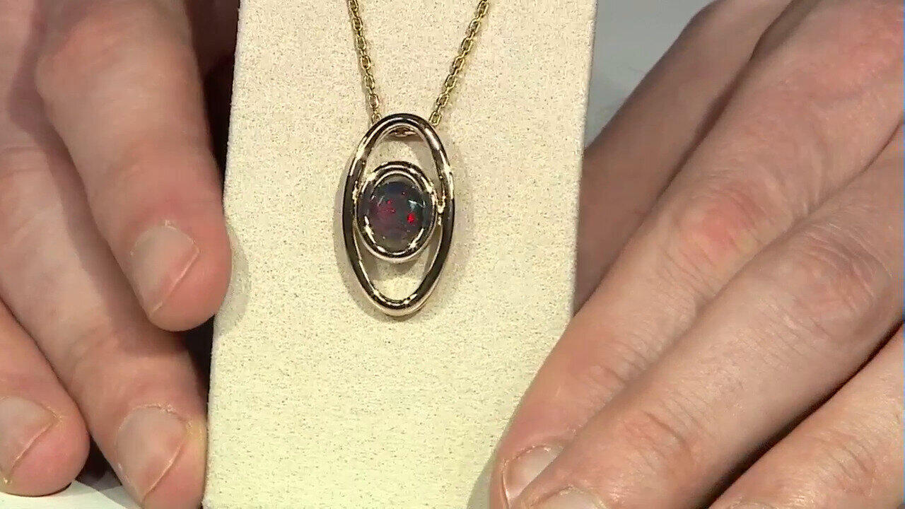 Letzte TV-Show ansehen