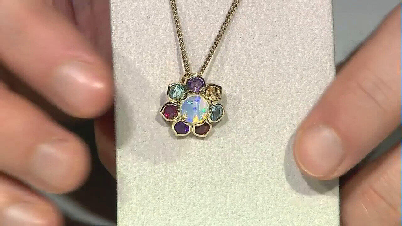 Letzte TV-Show ansehen