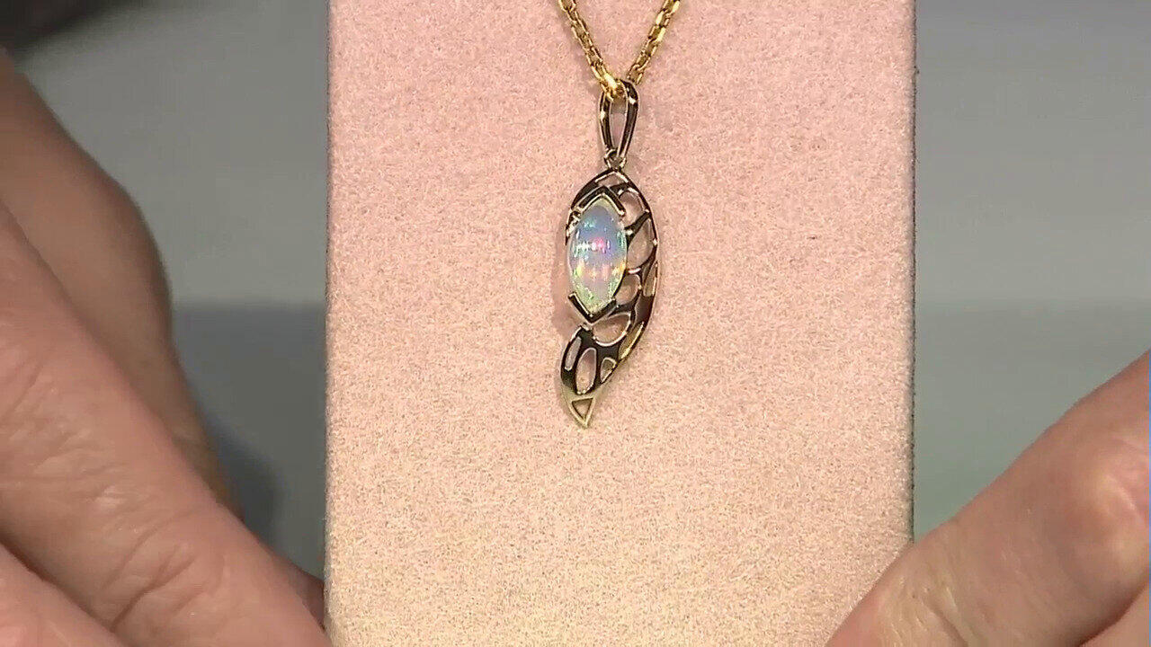 Laatste live aanbiedingen bekijken