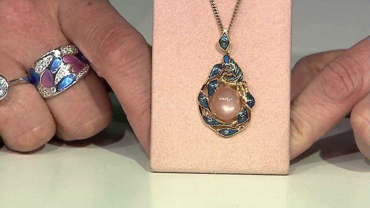 Ver última TV oferta