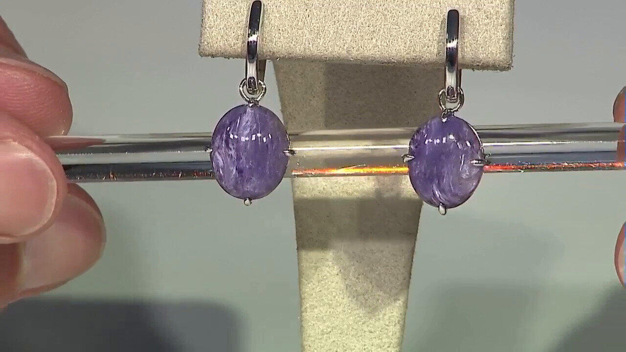 Laatste live aanbiedingen bekijken