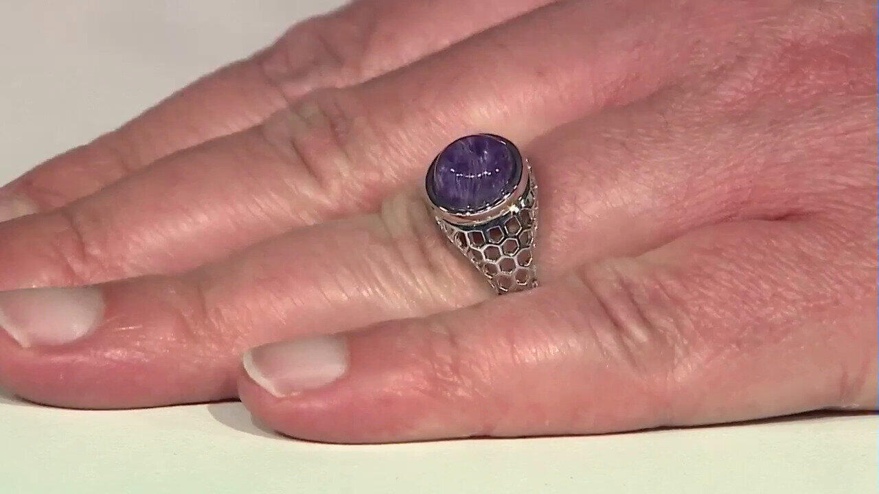 Letzte TV-Show ansehen