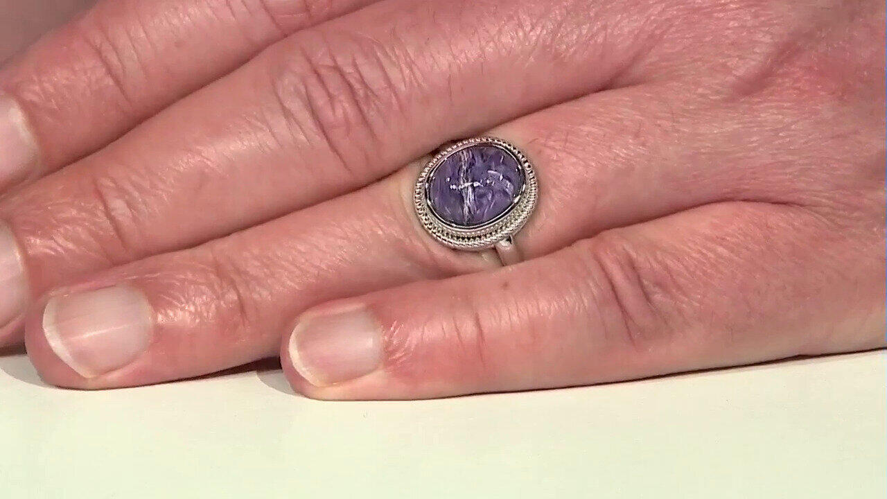 Letzte TV-Show ansehen