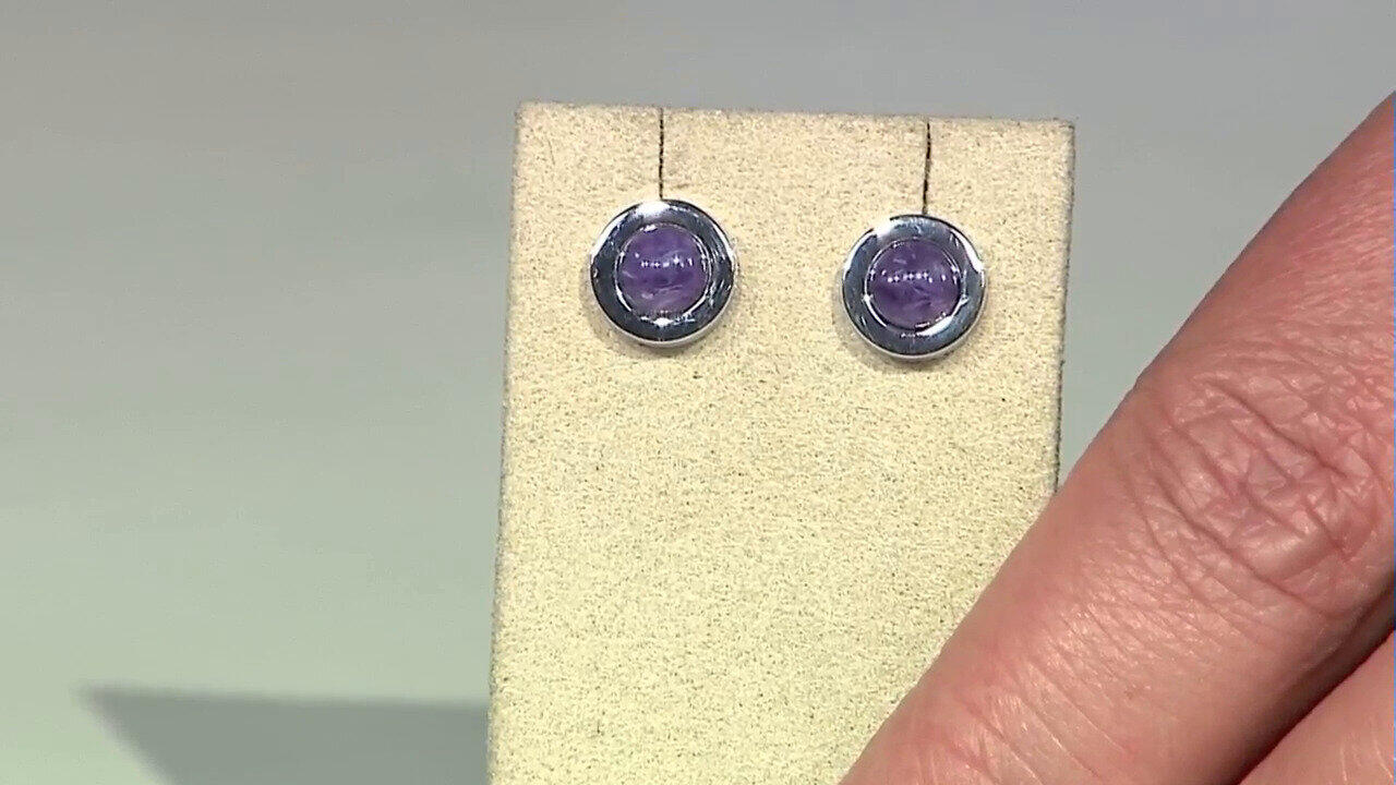 Letzte TV-Show ansehen