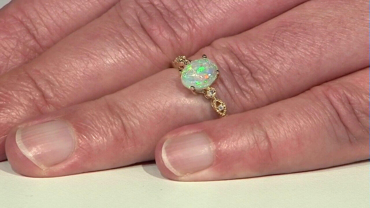 Laatste live aanbiedingen bekijken