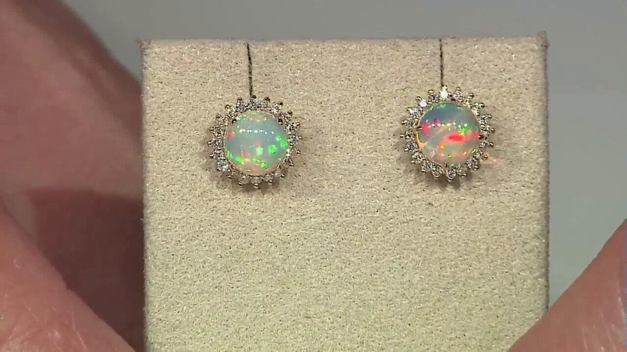 Letzte TV-Show ansehen