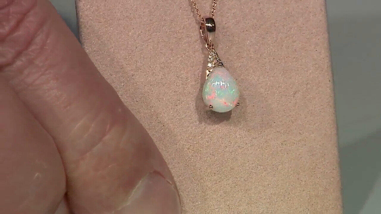 Letzte TV-Show ansehen