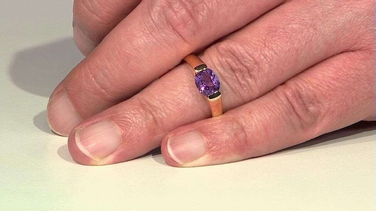 Letzte TV-Show ansehen