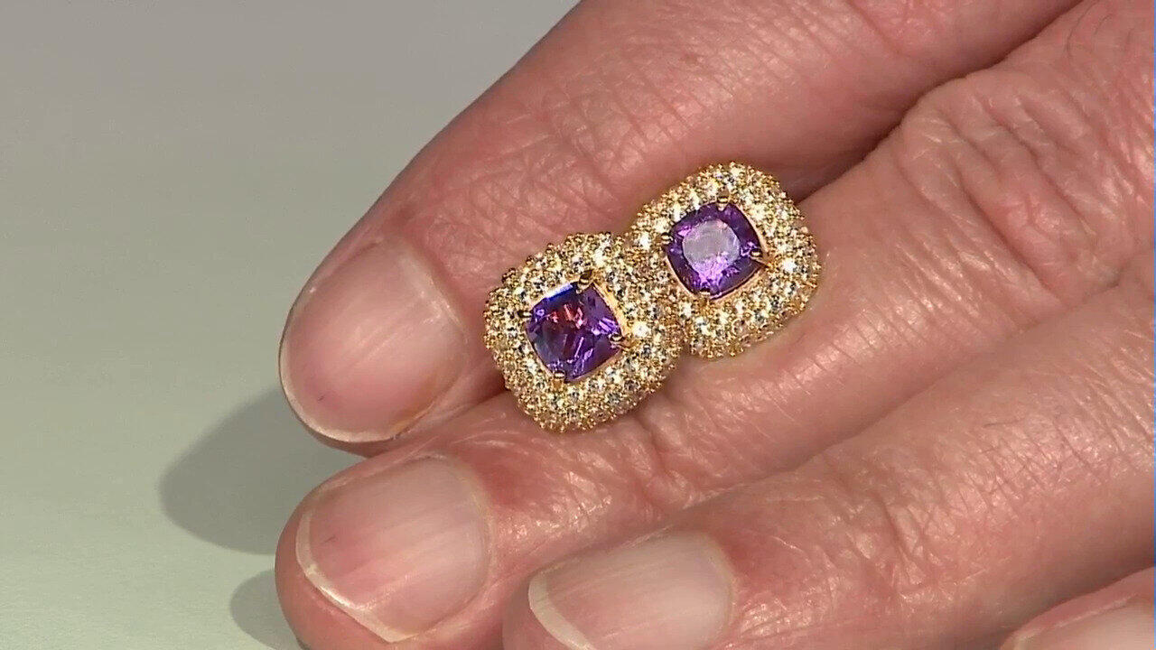 Letzte TV-Show ansehen