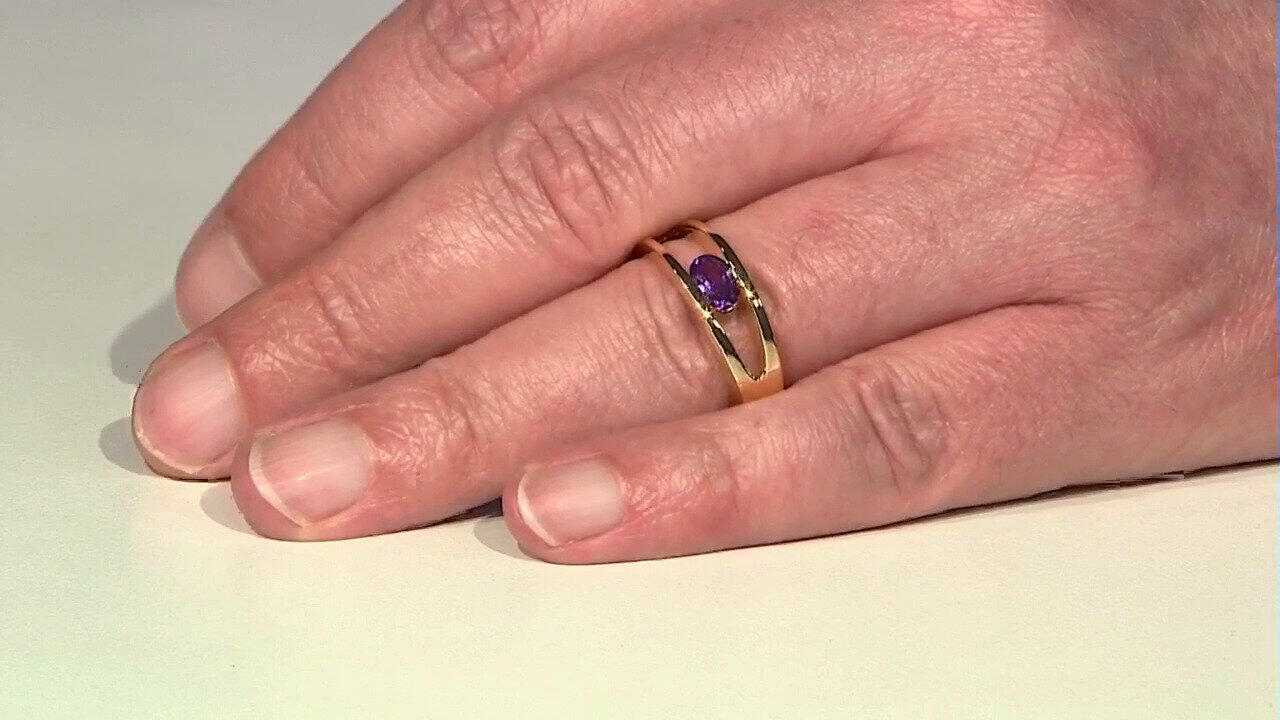 Letzte TV-Show ansehen