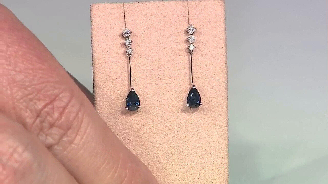 Letzte TV-Show ansehen