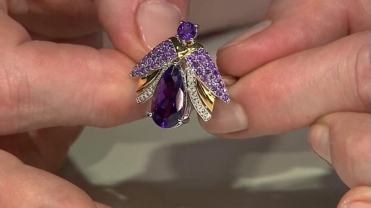 Letzte TV-Show ansehen