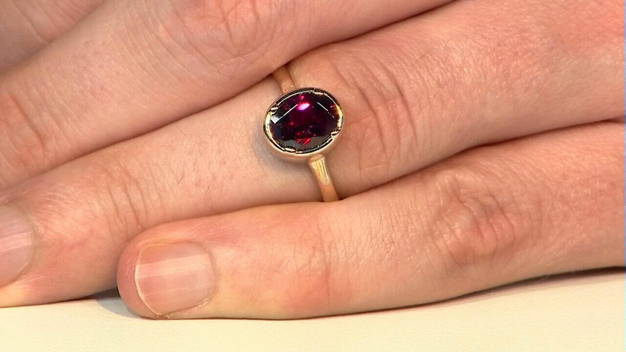 Letzte TV-Show ansehen