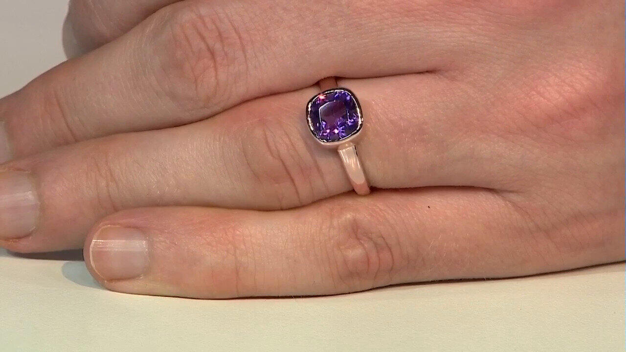 Letzte TV-Show ansehen