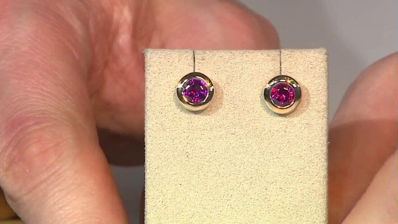 Laatste live aanbiedingen bekijken