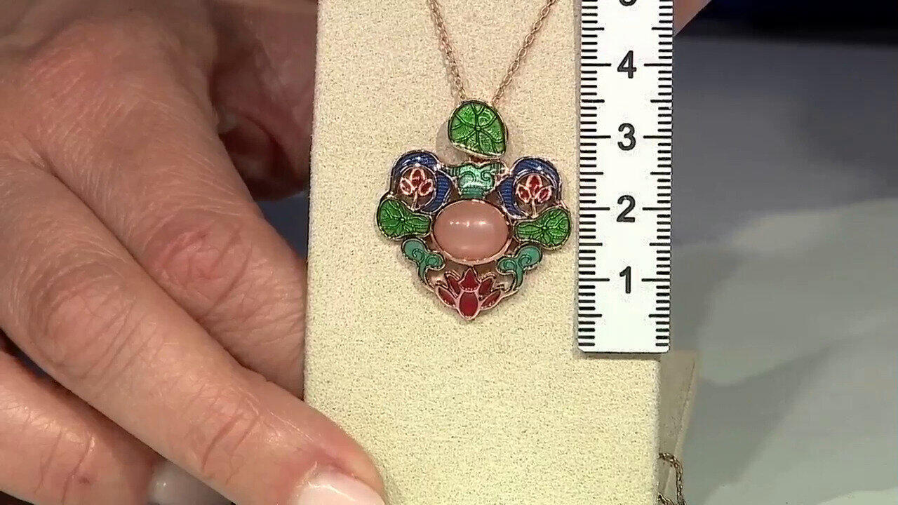 Letzte TV-Show ansehen