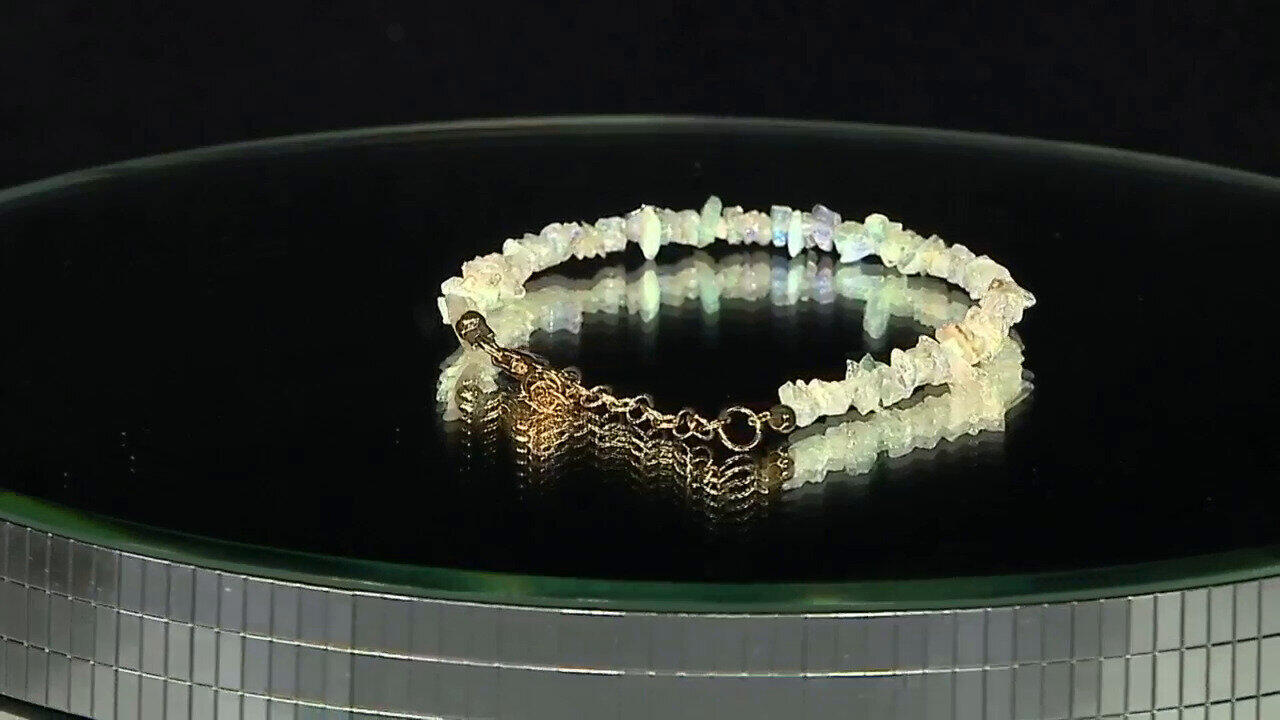 Laatste live aanbiedingen bekijken