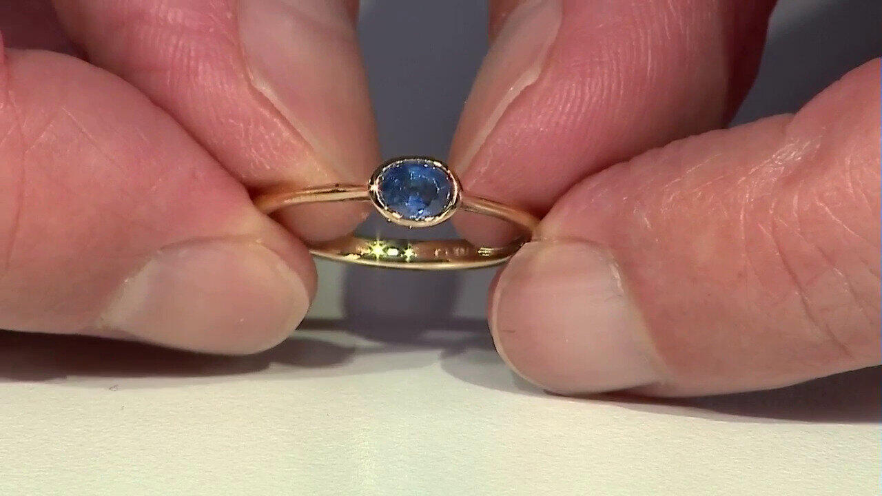 Letzte TV-Show ansehen