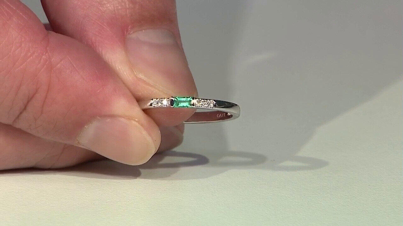 Letzte TV-Show ansehen