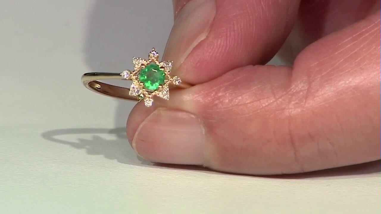 Letzte TV-Show ansehen