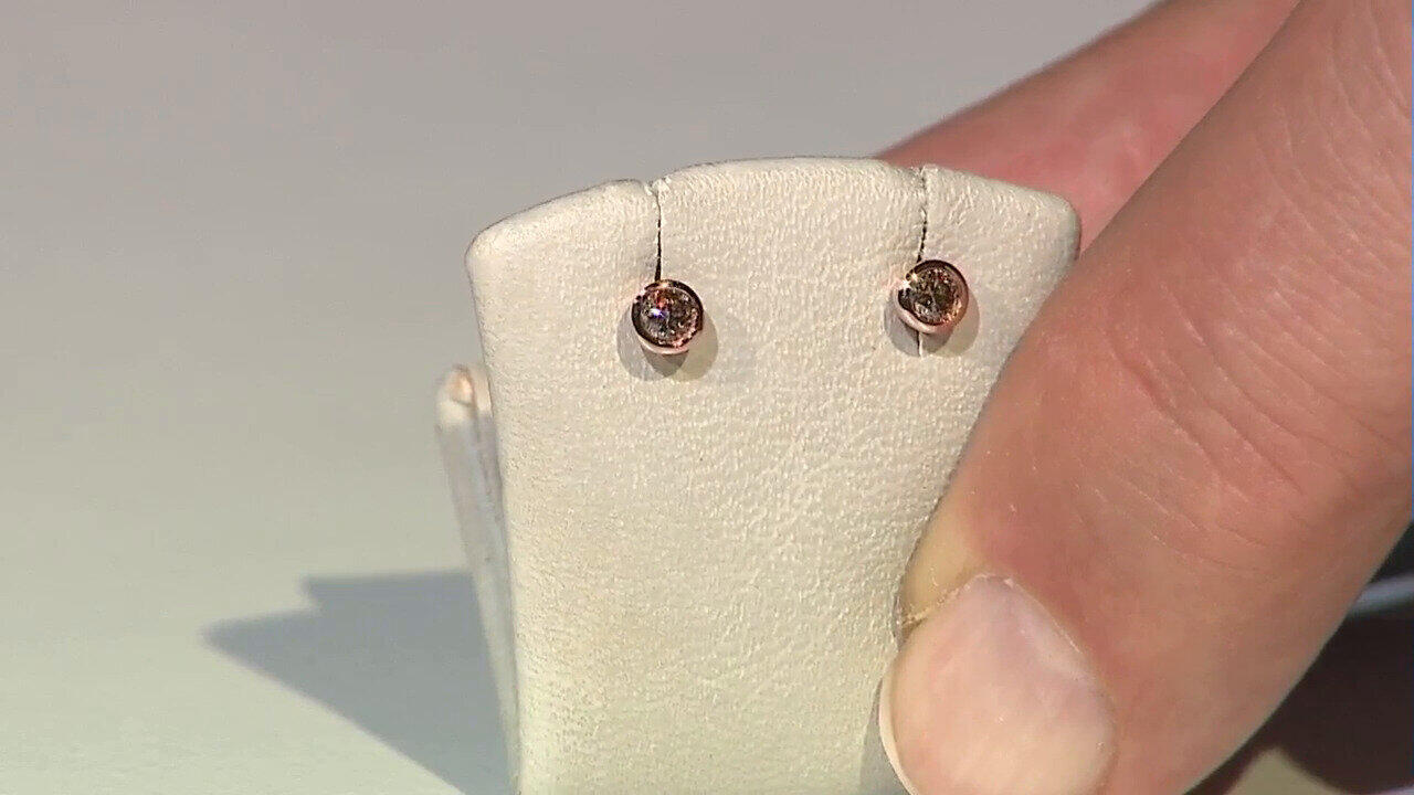 Letzte TV-Show ansehen