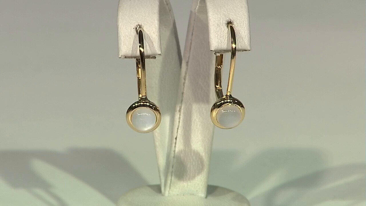 Letzte TV-Show ansehen