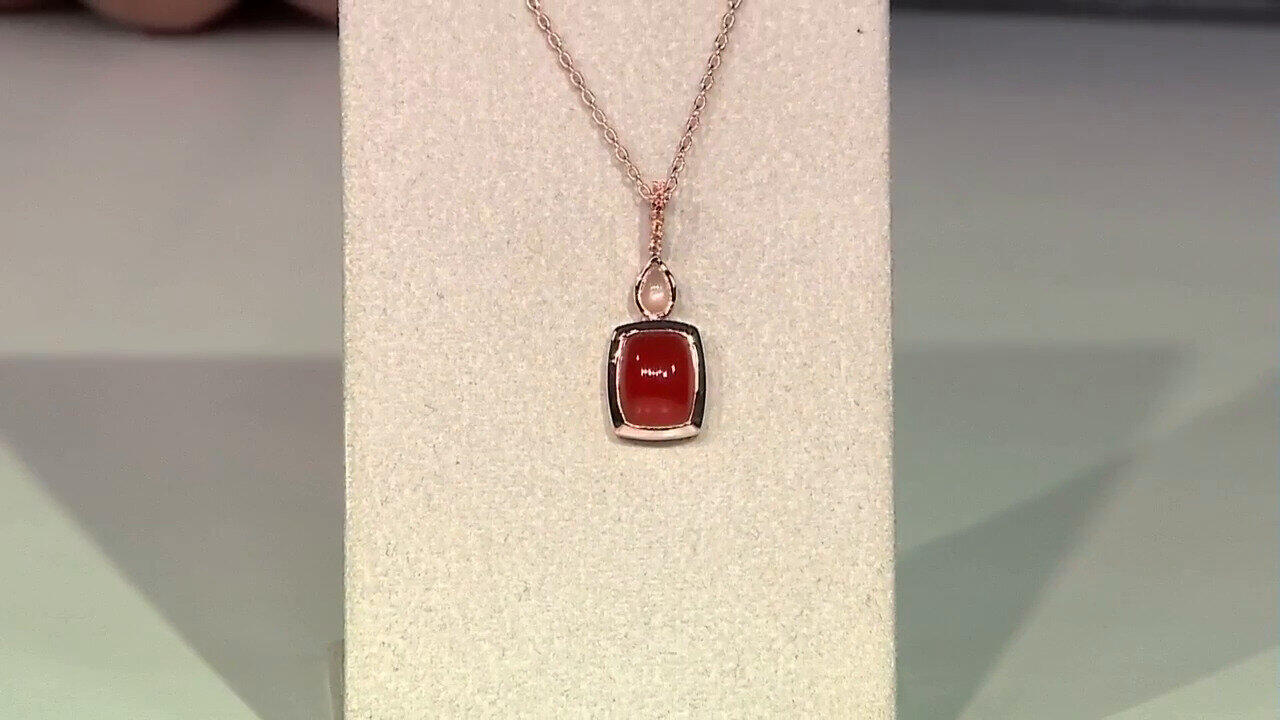 Letzte TV-Show ansehen