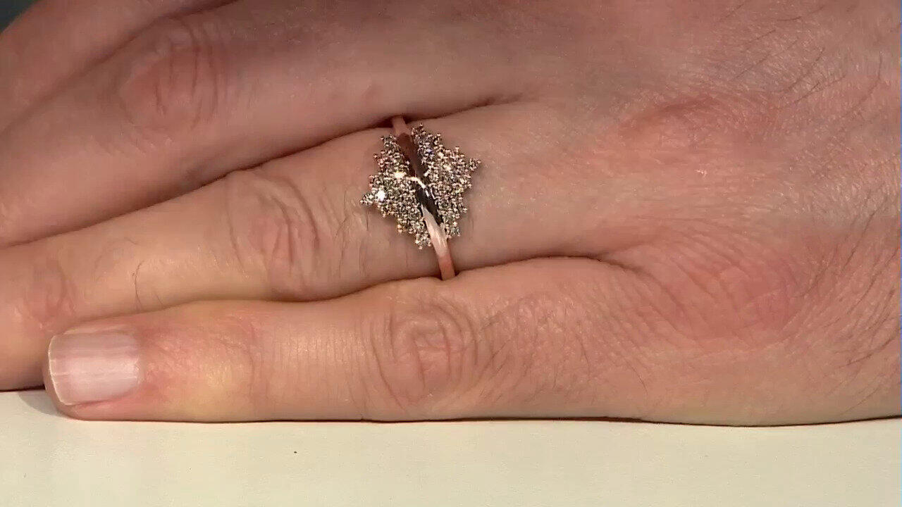 Letzte TV-Show ansehen