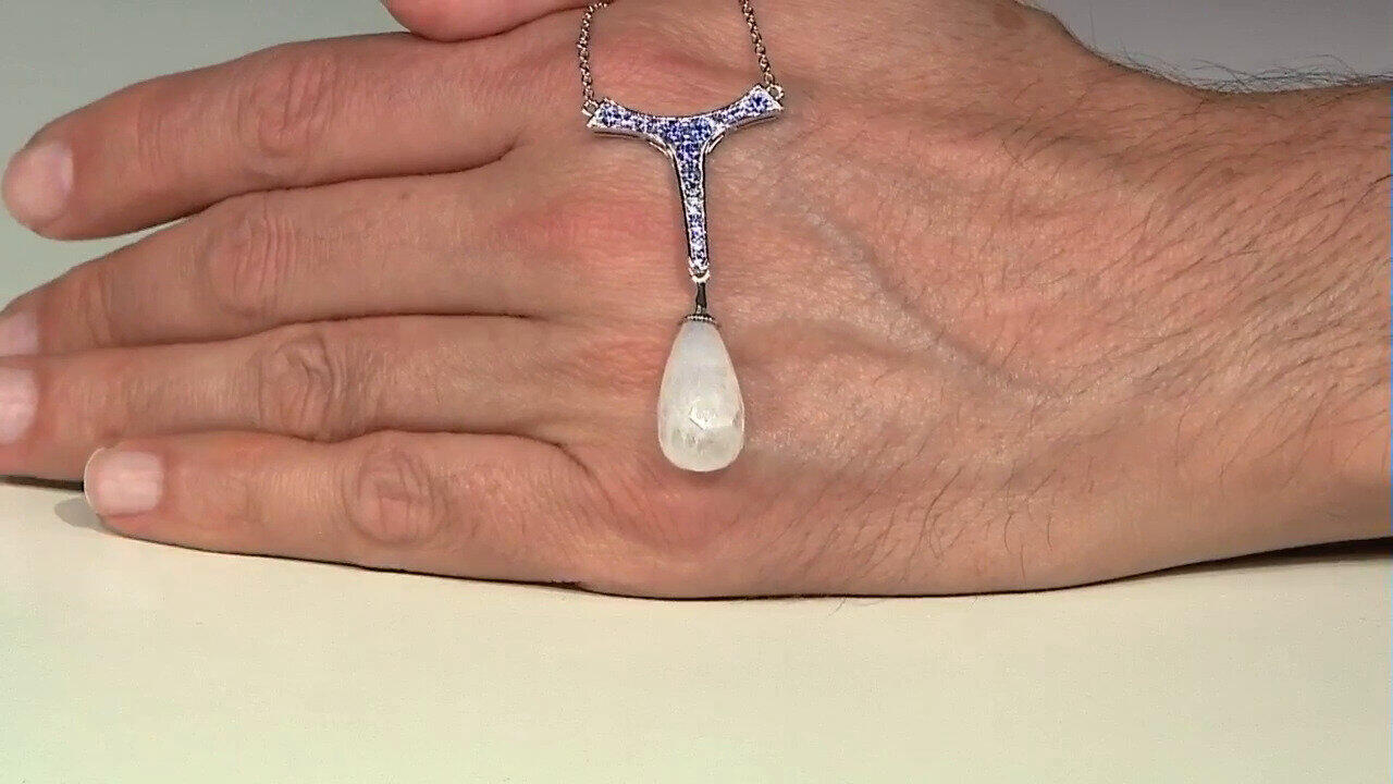 Letzte TV-Show ansehen