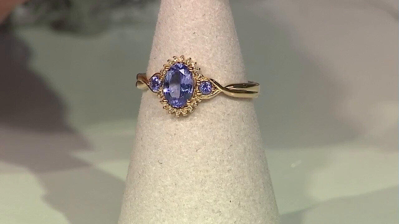 Letzte TV-Show ansehen