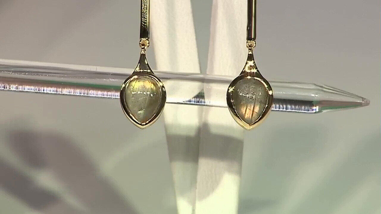 Letzte TV-Show ansehen