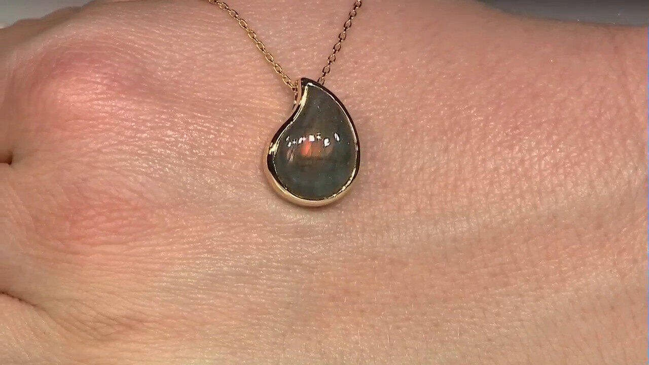 Letzte TV-Show ansehen