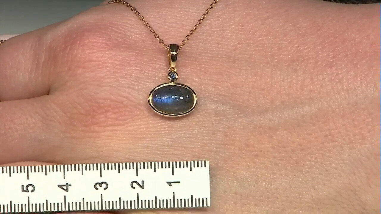 Letzte TV-Show ansehen