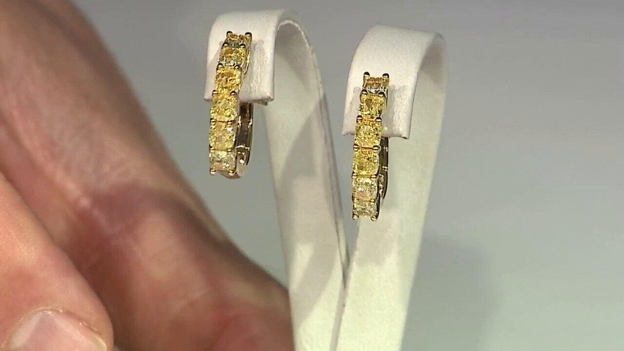 Voir l’enchère du bijou