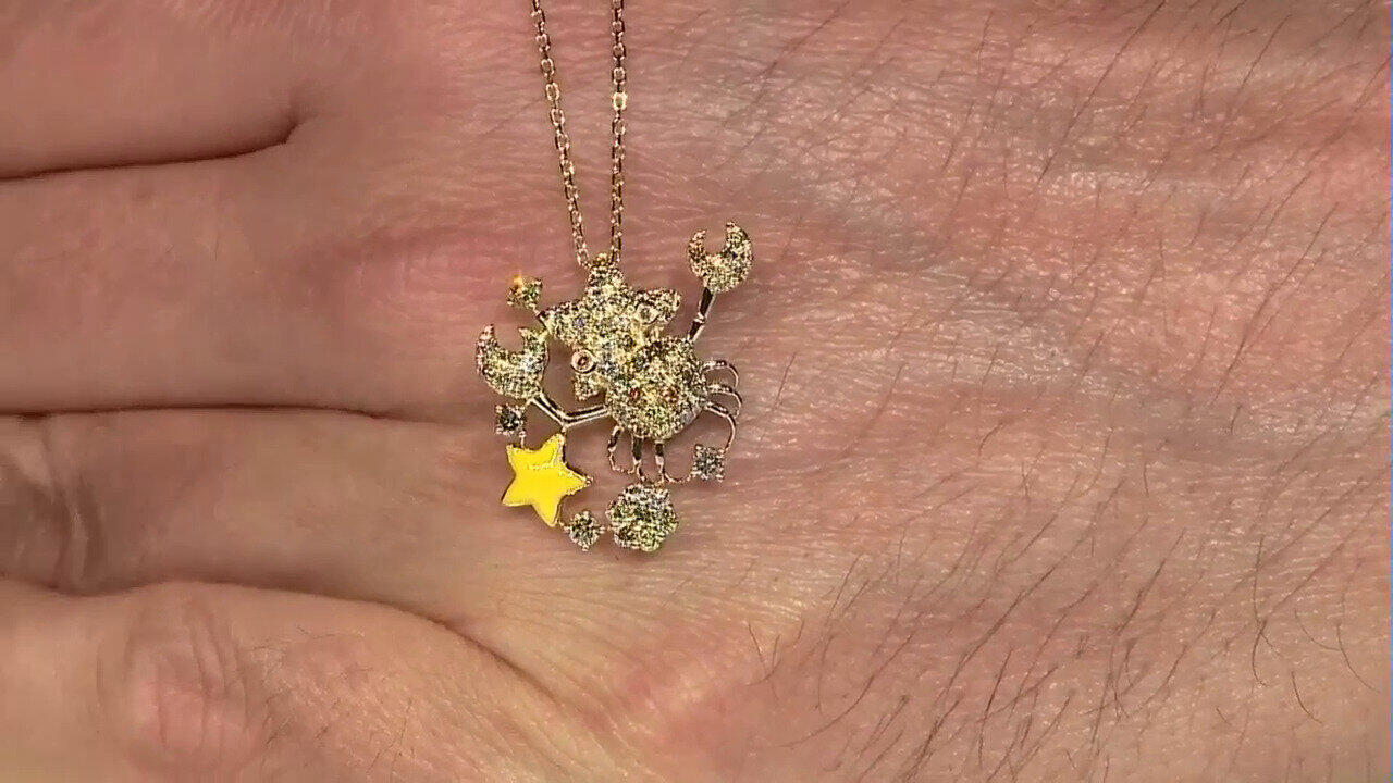 Laatste live aanbiedingen bekijken