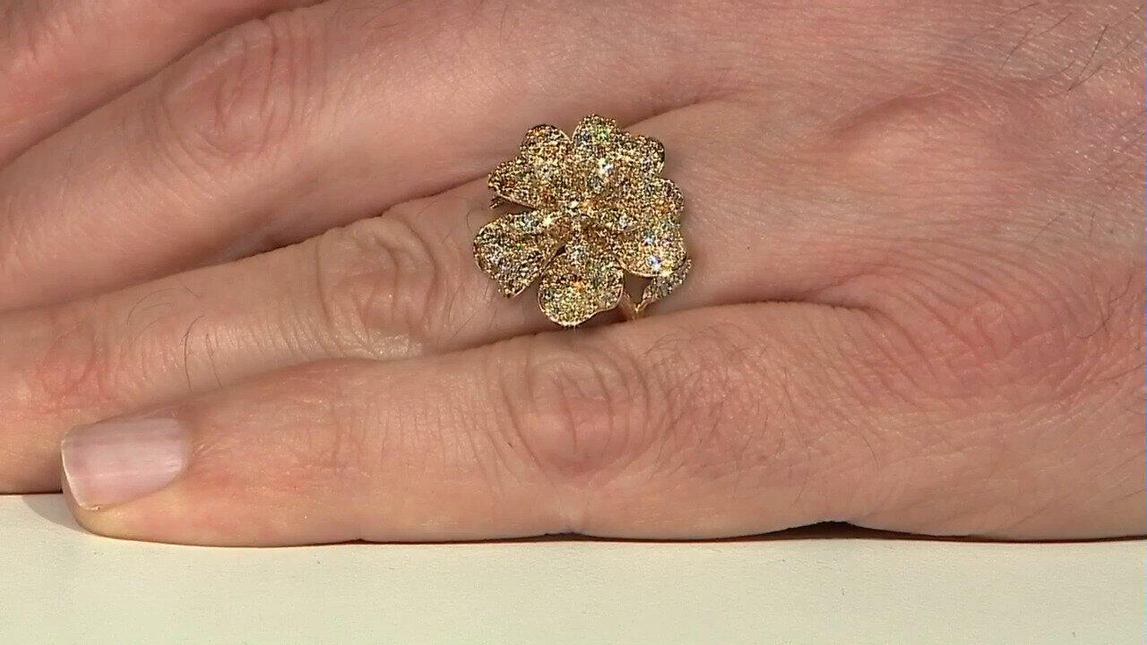 Letzte TV-Show ansehen