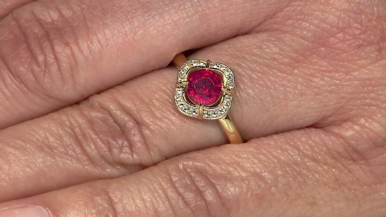 Letzte TV-Show ansehen