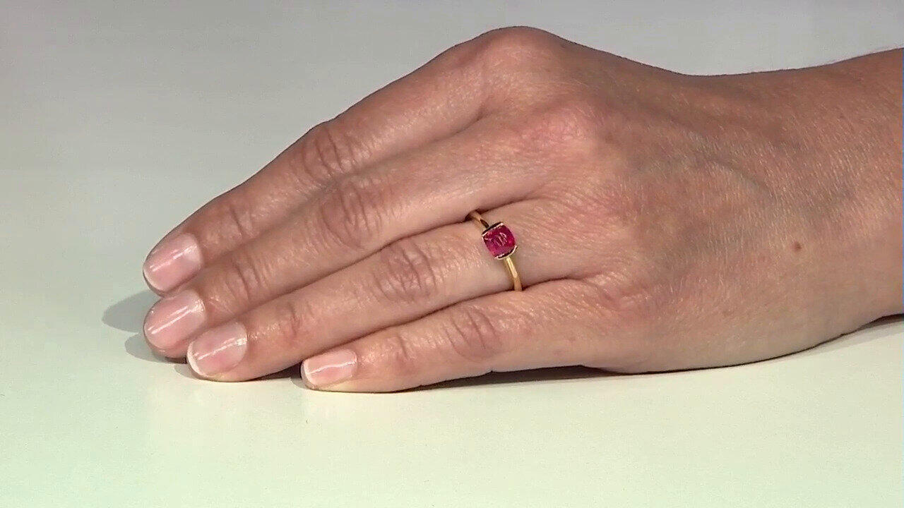 Letzte TV-Show ansehen