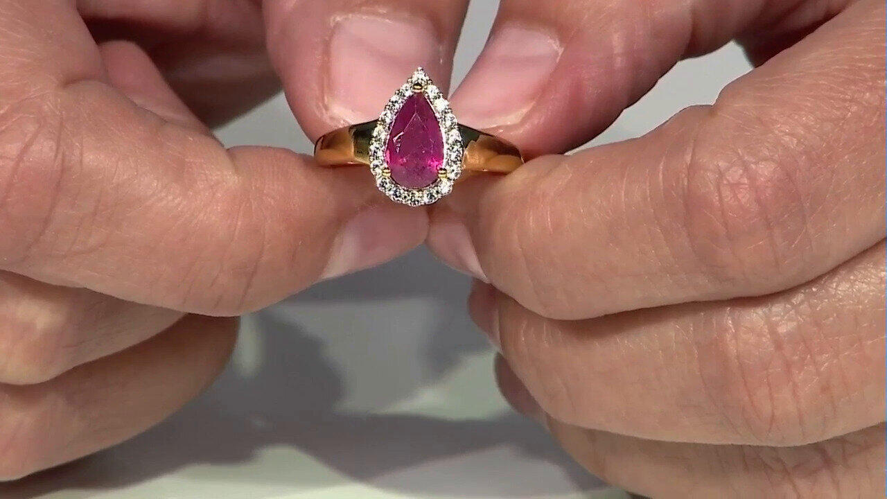 Letzte TV-Show ansehen